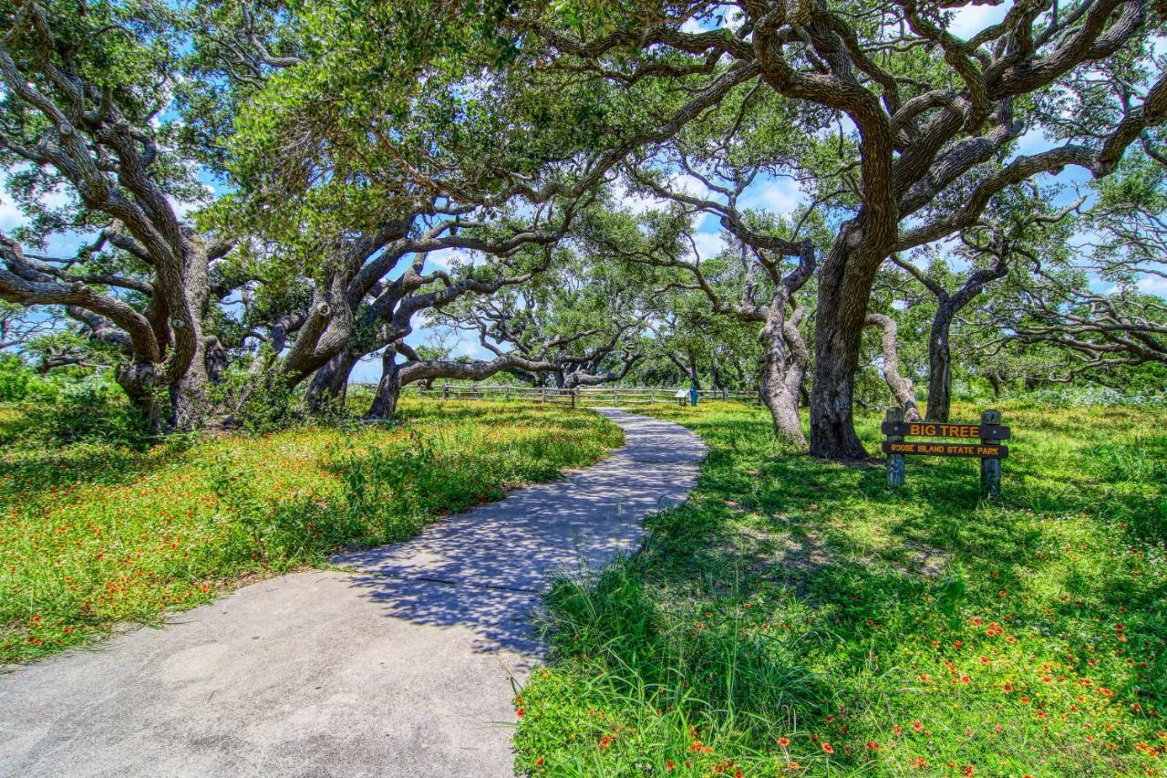 Willa Coastal Hideway #B Rockport Zewnętrze zdjęcie
